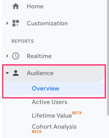 google-analytics-audience